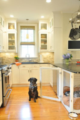 Transitional kitchen